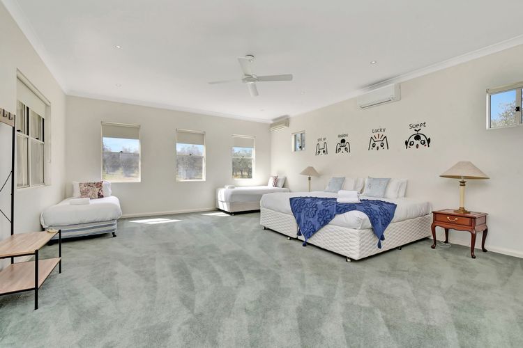 Olives and Vines at Majors Lane