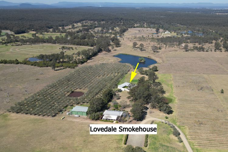 Olives and Vines at Majors Lane