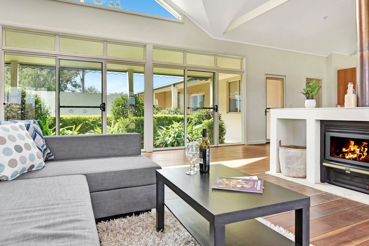 Olives and Vines at Majors Lane