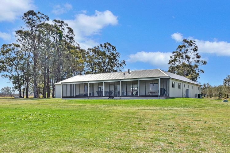 Olives and Vines at Majors Lane