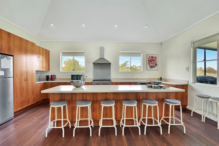 Olives and Vines at Majors Lane