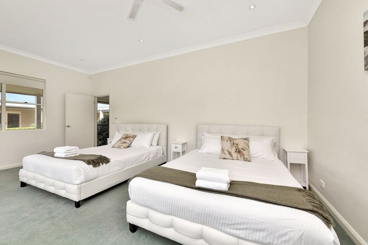 Olives and Vines at Majors Lane