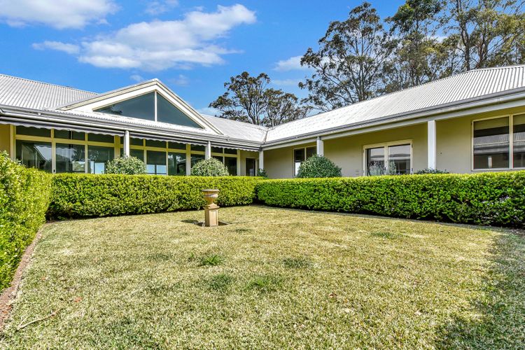 Olives and Vines at Majors Lane