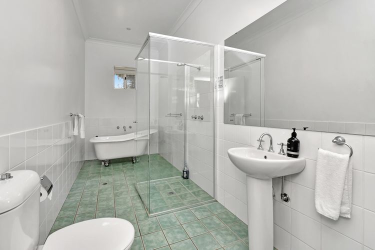 Olives and Vines at Majors Lane