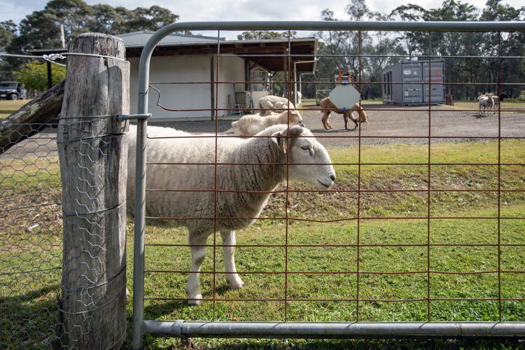 Gartelmann Studio @ Gartelmanns Wines walk to The Deck Cafe + Wine tasting