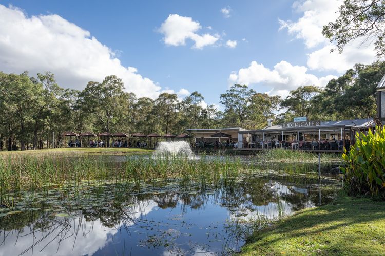 Gartelmann Studio @ Gartelmanns Wines walk to The Deck Cafe + Wine tasting