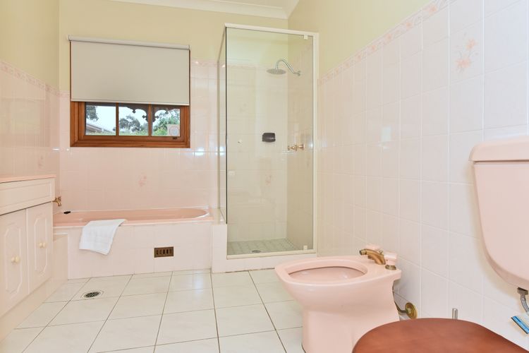 Marrowbone Mountain Views