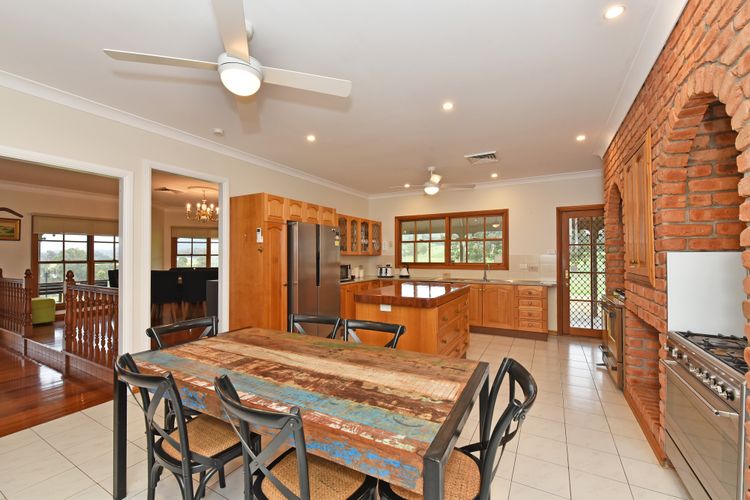 Marrowbone Mountain Views