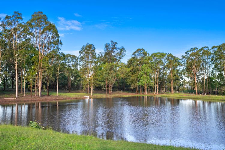 Marrowbone Mountain Views