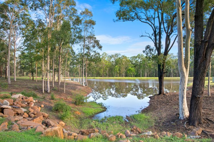 Marrowbone Mountain Views