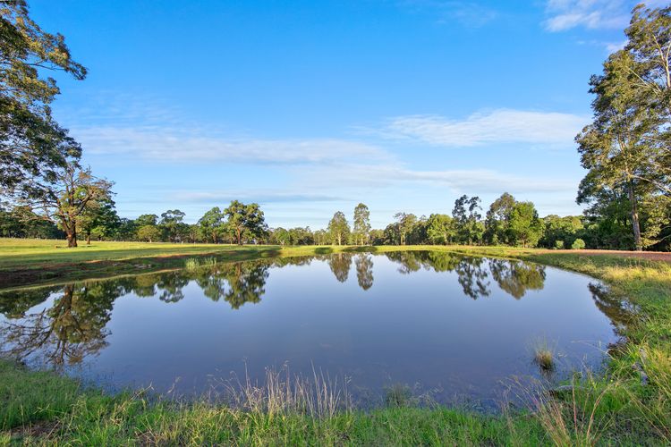 Marrowbone Mountain Views