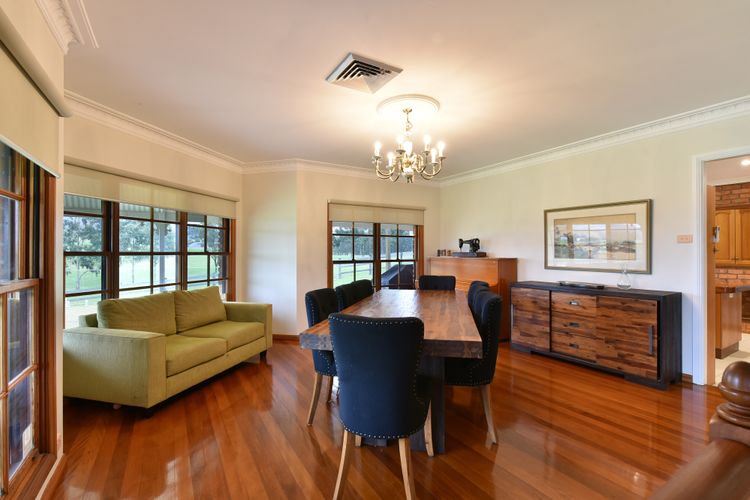 Marrowbone Mountain Views