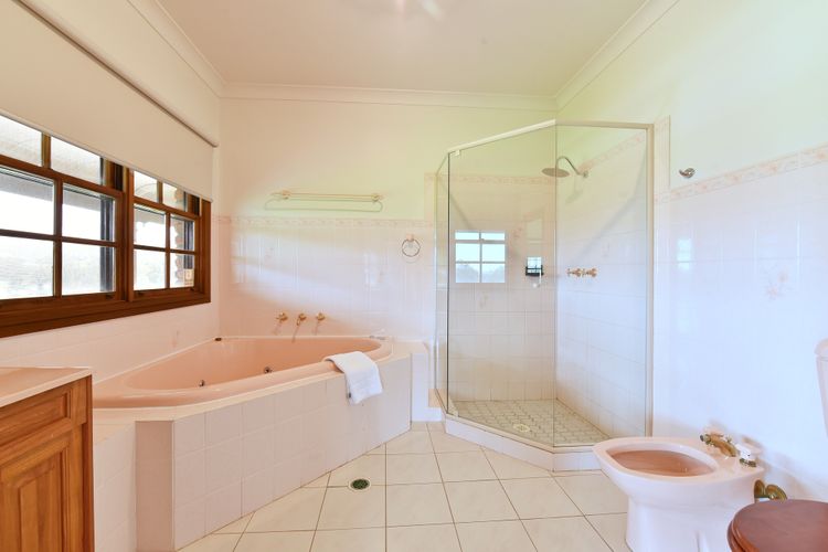 Marrowbone Mountain Views