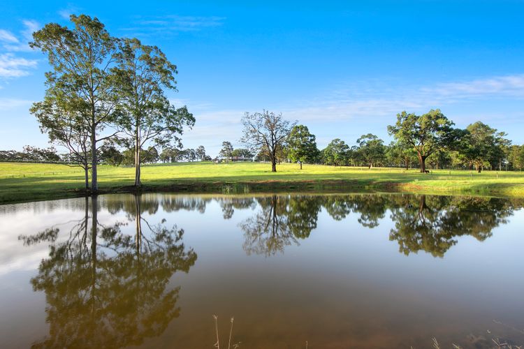 Marrowbone Mountain Views