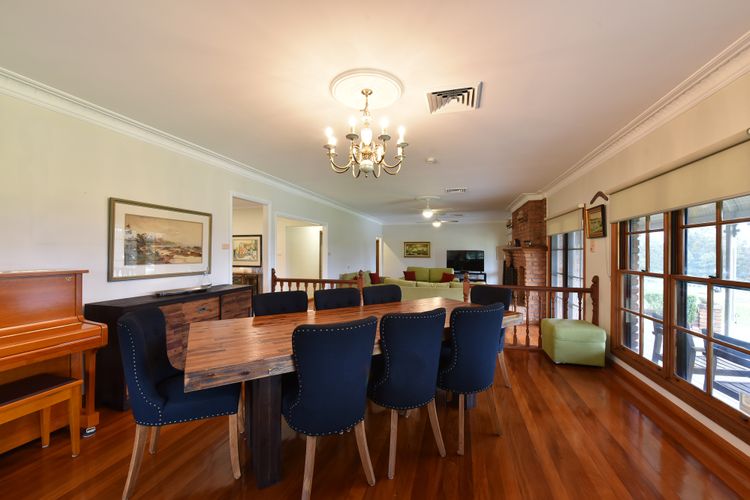 Marrowbone Mountain Views