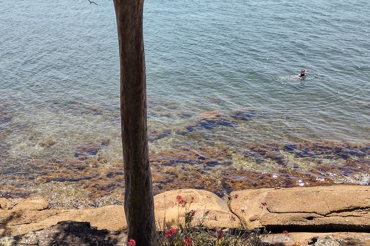 Waterview, swimming area in Lake