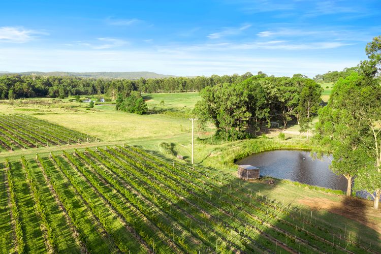 Palmers Lane Vineyard Cottage