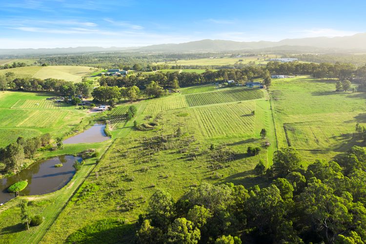 Palmers Lane Vineyard Cottage