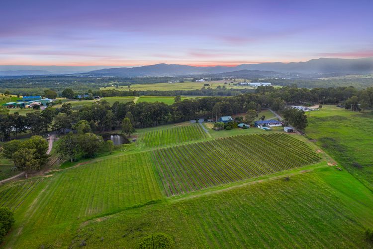 Palmers Lane On Vineyard Homestead