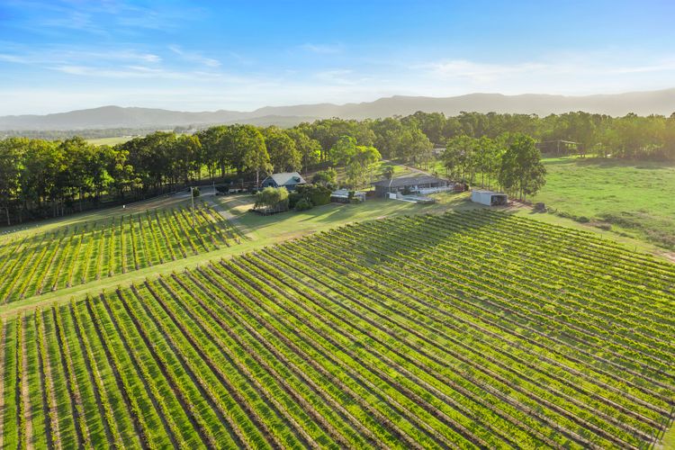 Palmers Lane On Vineyard Homestead