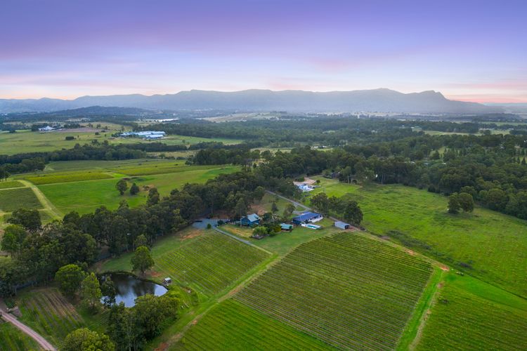 Palmers Lane On Vineyard Homestead