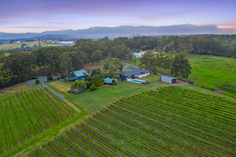 Palmers Lane Vineyard Estate and Retreat with Pool offers a large 6br home and 2br cottage