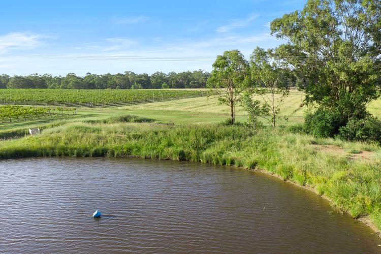 Palmers Lane Vineyard Estate and Retreat with Pool offers a large 6br home and 2br cottage