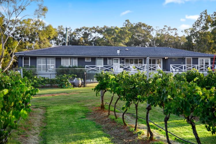 Palmers Lane Vineyard Estate and Retreat with Pool offers a large 6br home and 2br cottage