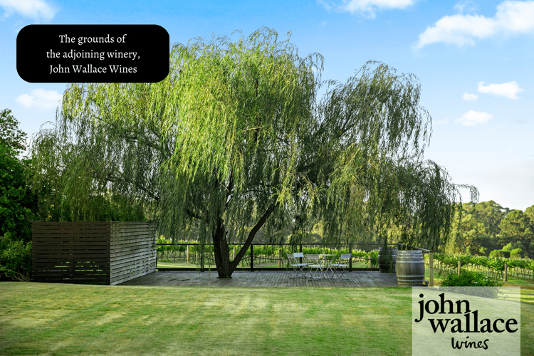 Palmers Lane Vineyard Estate and Retreat with Pool offers a large 6br home and 2br cottage