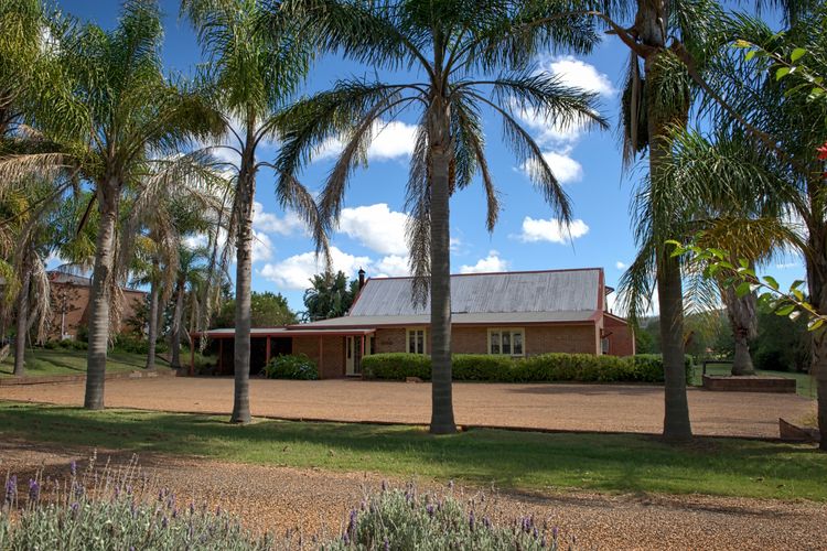 Nature's Embrace: Cozy House Nestled Among Towering Trees