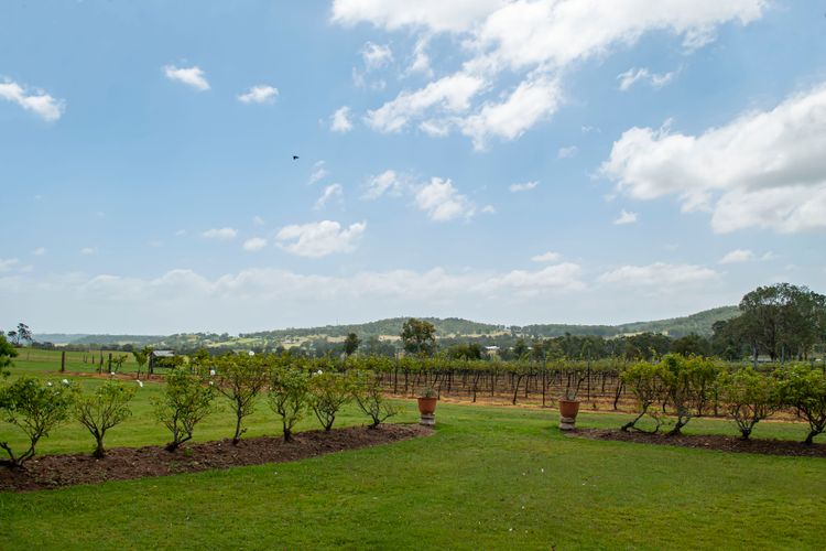 Bluebush Estate Retreat