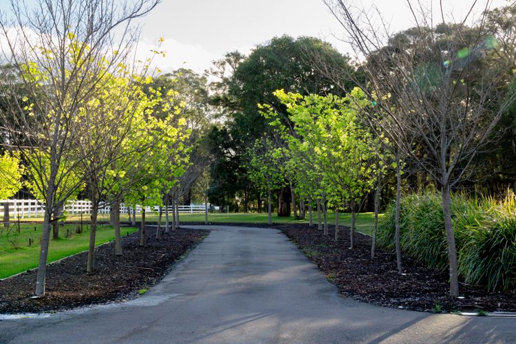 Whitevale Luxury Estate – Weddings, Functions, Corporate Retreats