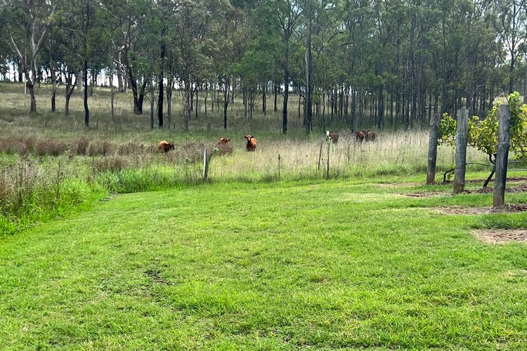 Bracken Ridge Vineyard – The Stables – Villa 1