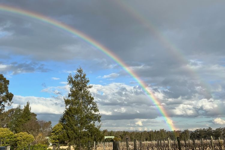 Bracken Ridge Vineyard – The Stables – Villa 1