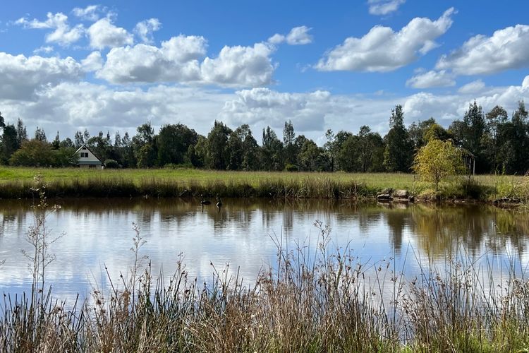 Bracken Ridge Vineyard – The Kingston – Villa 3