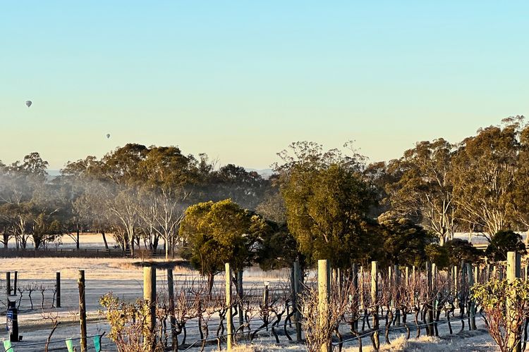 Bracken Ridge Vineyard – The Kingston – Villa 3