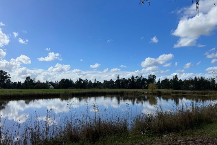 Bracken Ridge Vineyard – The Kingston – Villa 3