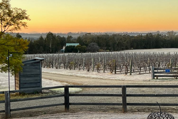 Bracken Ridge Vineyard – The Kingston – Villa 3