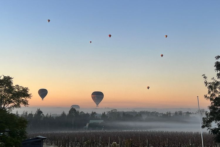 Bracken Ridge Vineyard – The Chetwynd – Villa 4