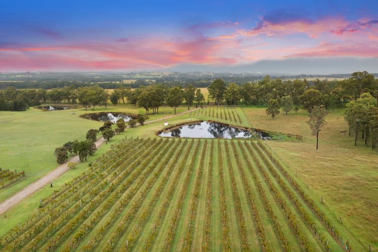 Bracken Ridge Vineyard – The Chetwynd – Villa 4