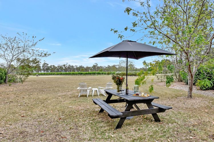 Bracken Ridge Vineyard – The Entire Estate