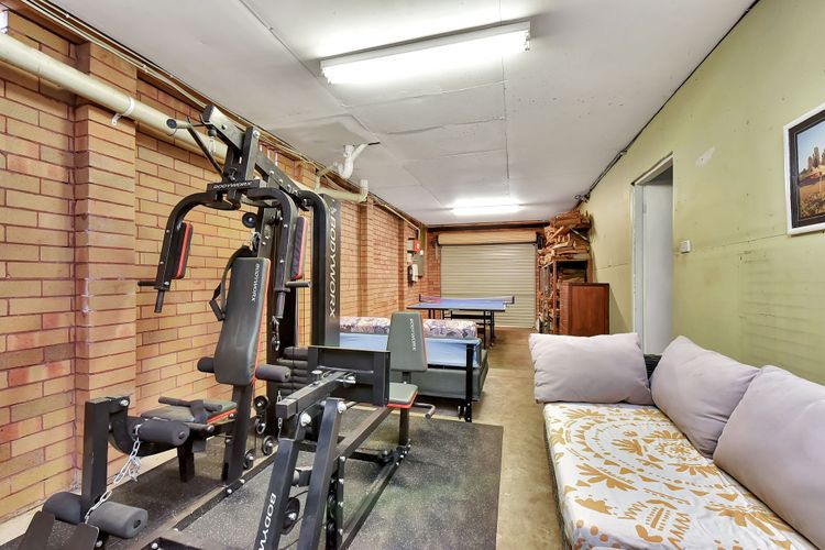 Bellbird Bliss – Family Fun Retreat