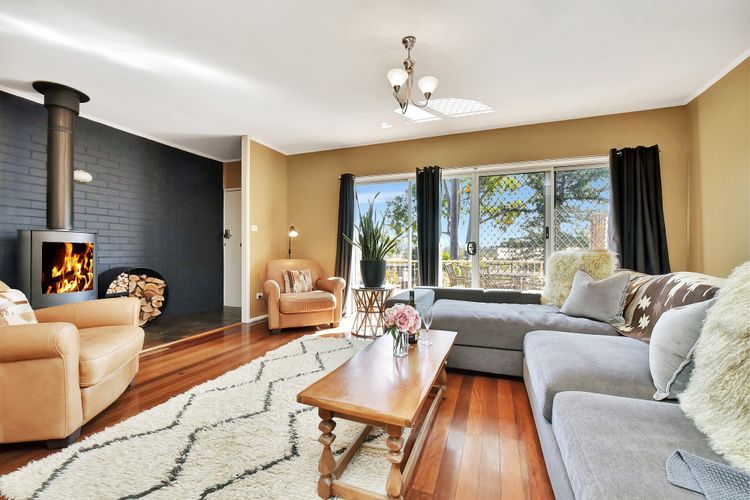 Bellbird Bliss – Family Fun Retreat