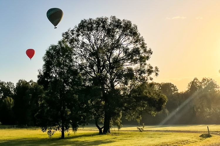 The Reserve Homestead walk to vineyards and restaurants and Concerts