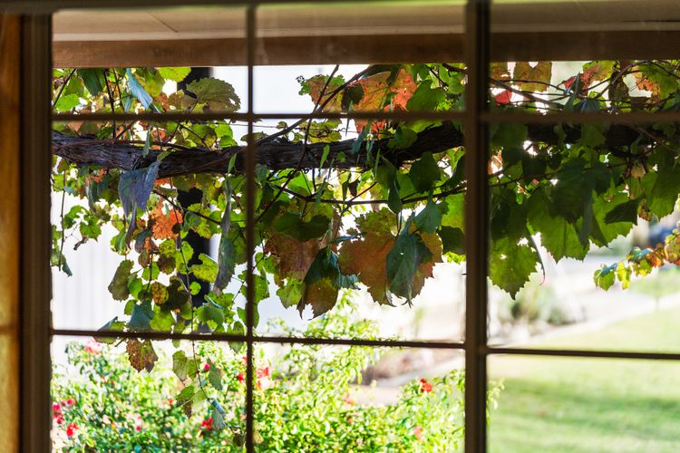 Heavenly Hideaway at Lovedale with Private Pool and Spa