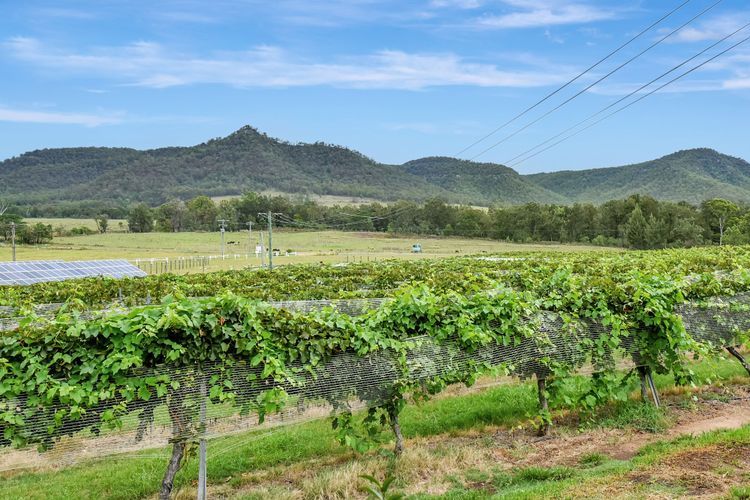 Somerville Wines Lux Escape – 3-Bedroom Cottage Near Broke Wineries