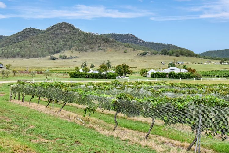 Somerville Wines Lux Escape – 3-Bedroom Cottage Near Broke Wineries