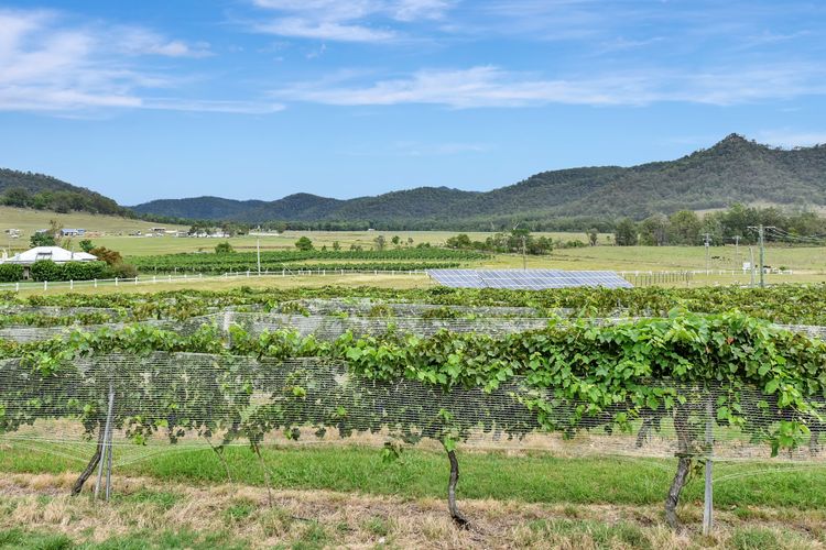 Somerville Wines Lux Escape – 3-Bedroom Cottage Near Broke Wineries