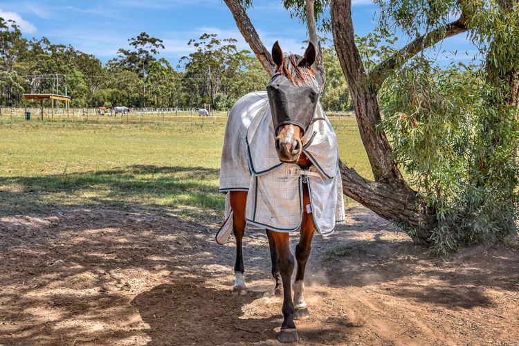 Odyssean Farmstay Cabin – Romantic Getaway, Roche Concert Bus Route & Nearby Wineries