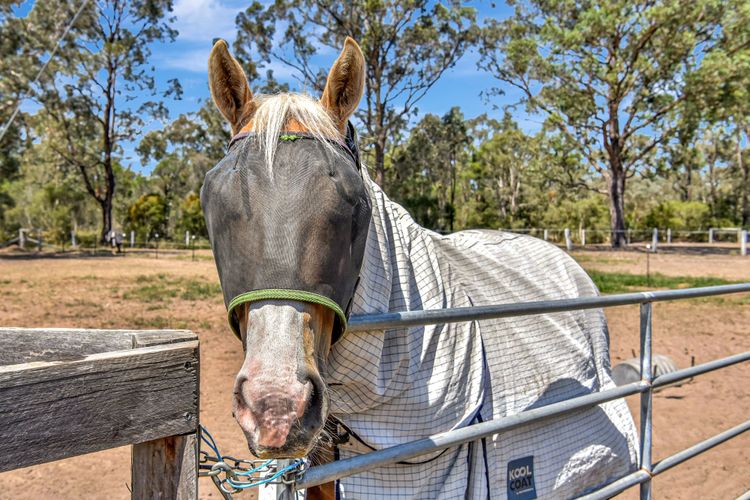 Odyssean Farmstay Cabin – Romantic Getaway, Roche Concert Bus Route & Nearby Wineries